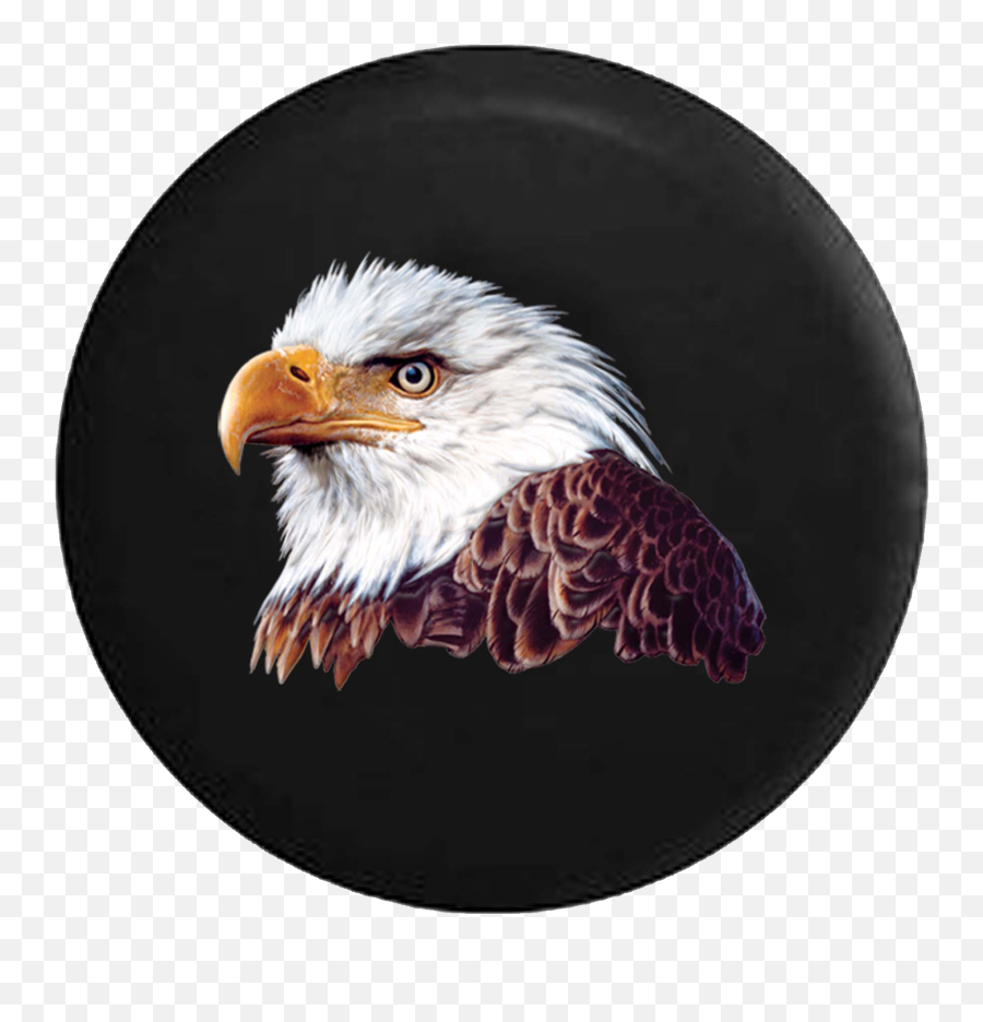 Jeep Liberty Spare Tire Cover With Bald Eagle Head 02 - 12 Spare Tire Png,Bald Eagle Head Png