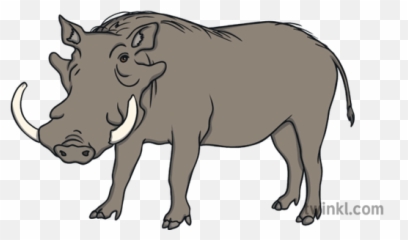 Warthog Wild Pig Savanna Saharan Africa Animal Open Eyes Ks1 - Big Png,Warthog Png
