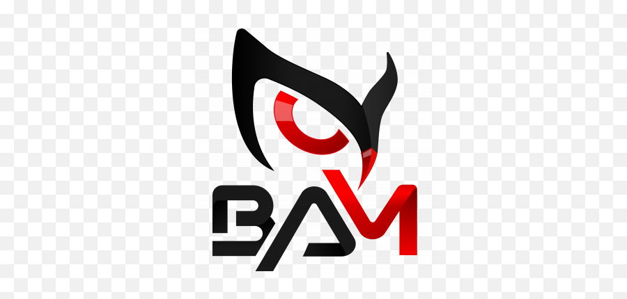 Download Hd Bam Project - Logos Bam Transparent Png Image Language,Bam Png