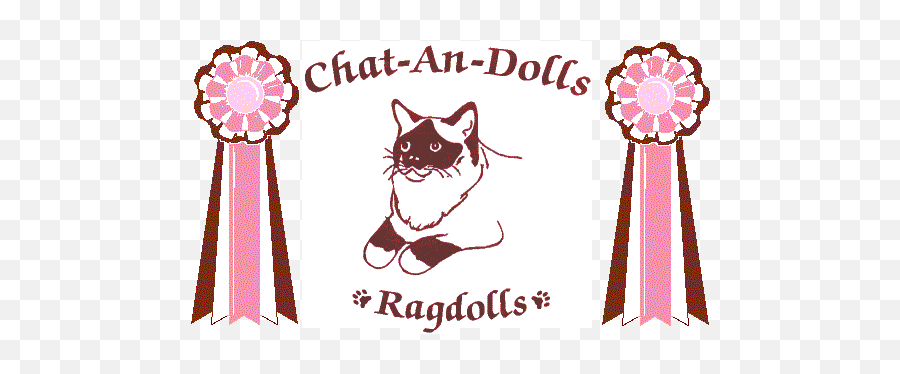 Ragdoll Kittens For Sale Cats - Lovely Png,Ragdoll Logos
