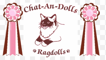 Ragdoll Kittens For Sale Cats - Lovely Png,Ragdoll Logos