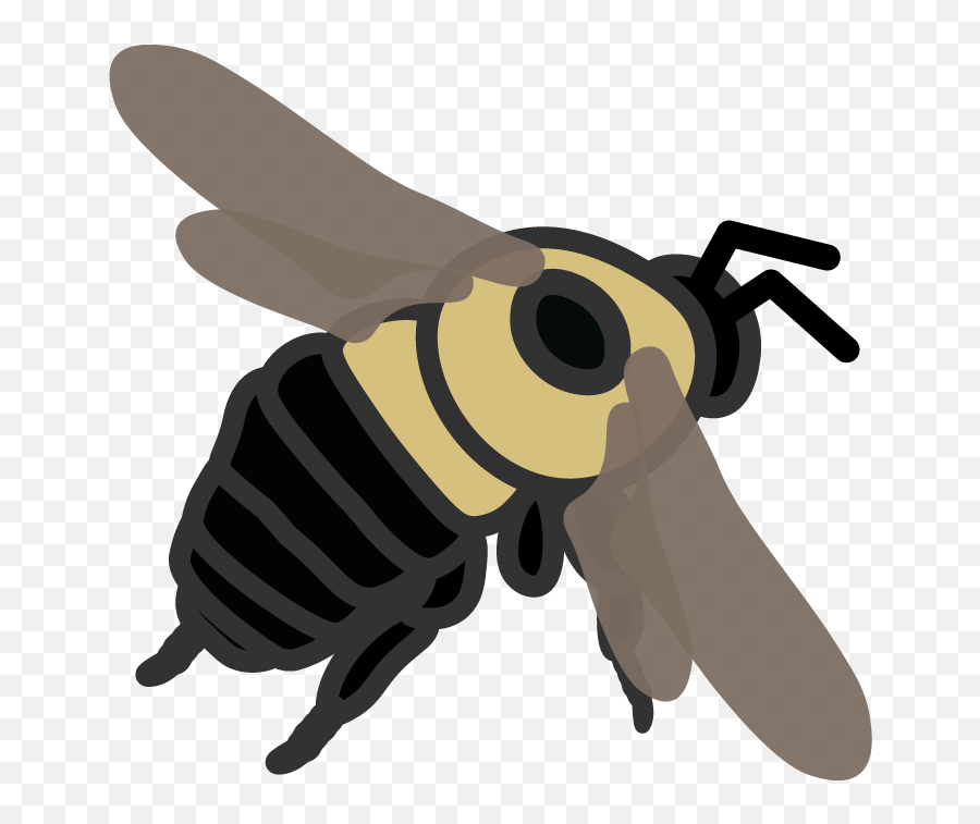 Graphic Art Jeremy Hemberger - Parasitism Png,Bumblebee Icon