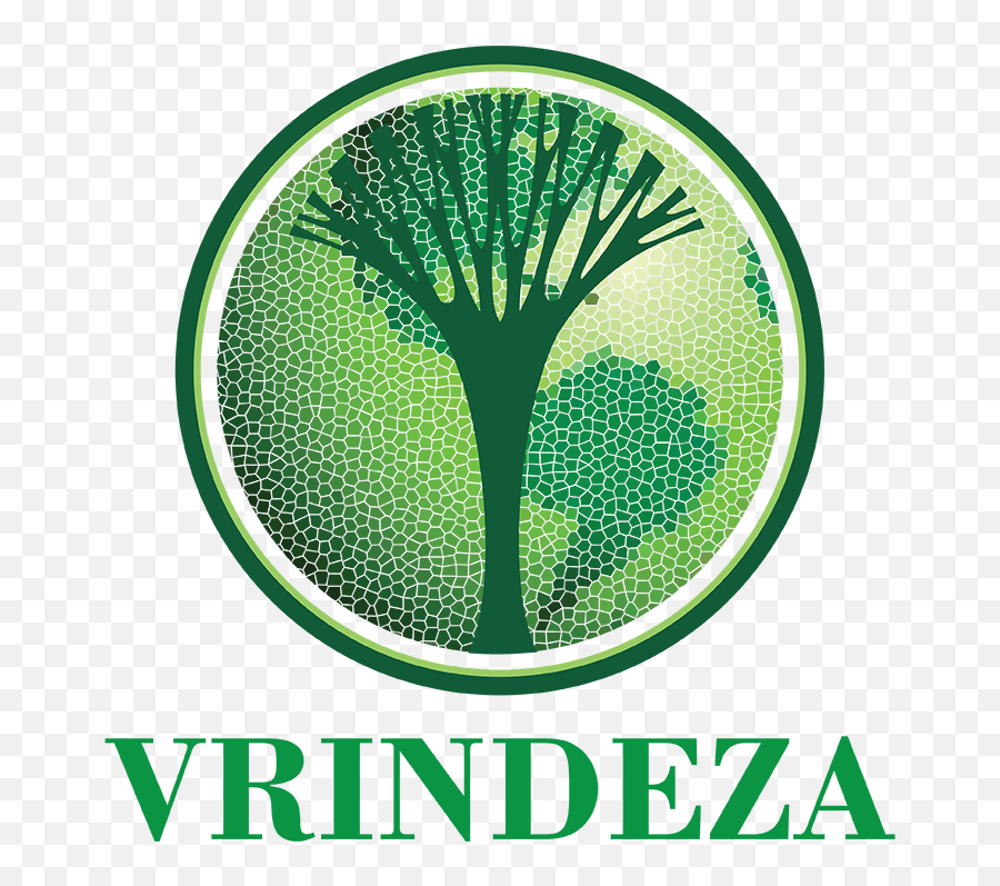 Vrindeza - Tan Kah Kee Png,Leeda Icon M Sport Match