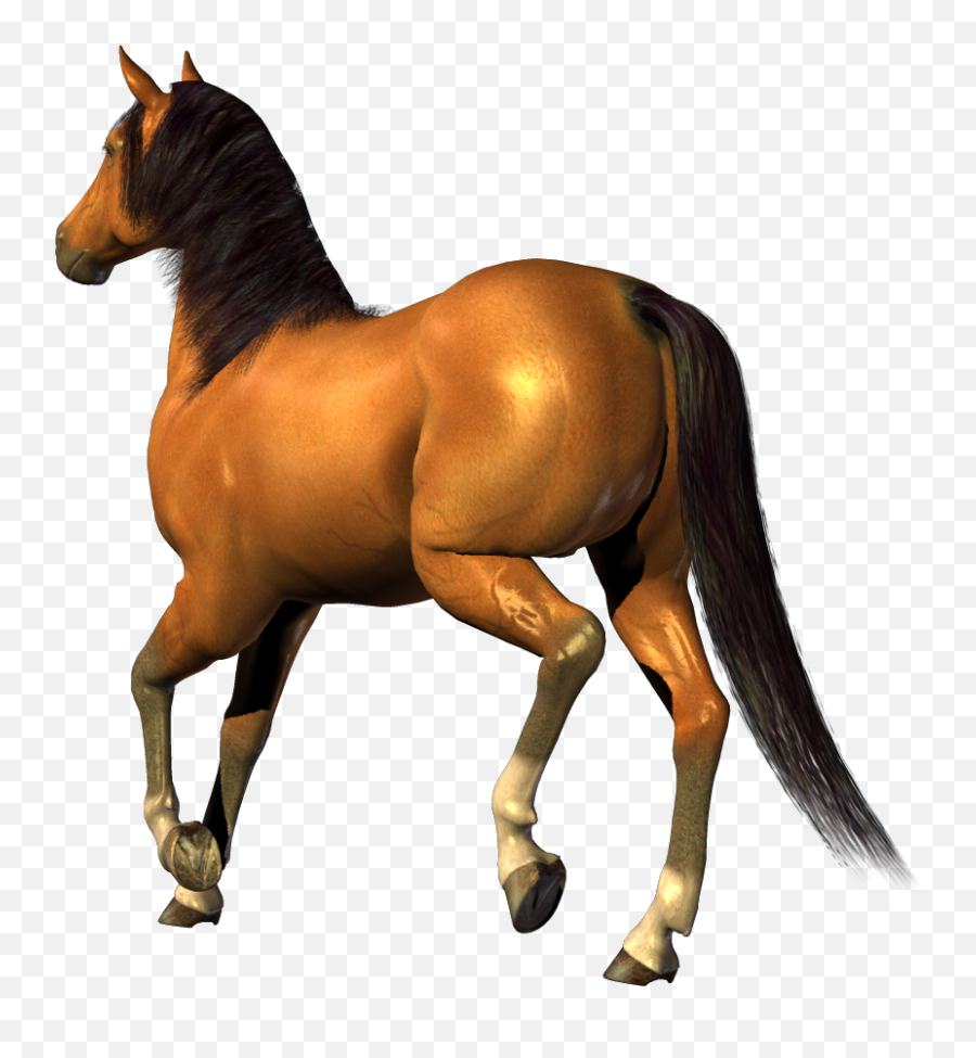 Horse In Png - Transparent Background Horse Gif,Horse Running Png