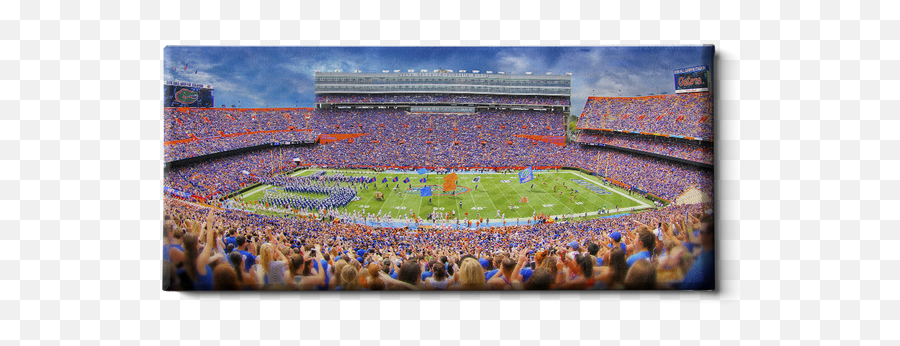 Florida Gators - Wall Decal Page 2 College Wall Art Ben Hill Griffin Stadium Png,University Of Florida Icon