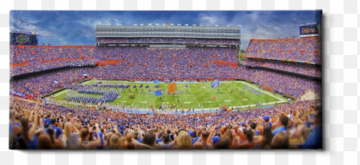Florida Gators - WALL DECAL Page 2 College Wall Art Ben Hill Griffin Stadium png