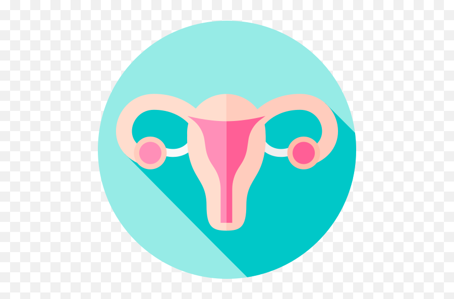 I Help Women Reverse Pcos Symptoms Using Functional Medicine - Bovinae Png,Functional Medicine Icon