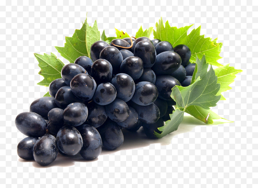 Grape Png Transparent Free Images - Grape Png,Grapes Png