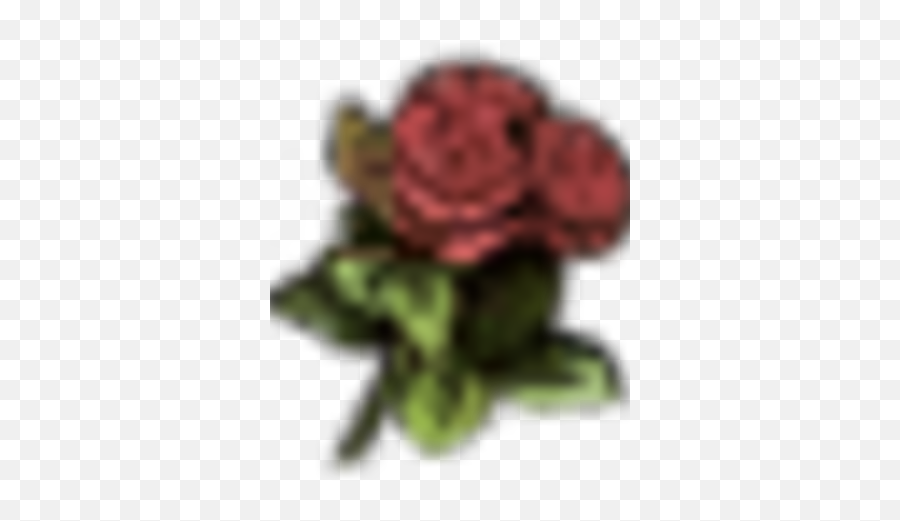 Red Roses - Garden Roses Png,Red Rose Png