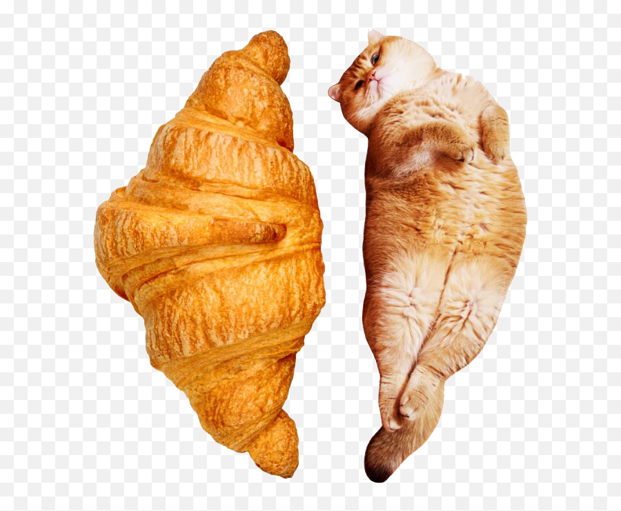 Croissant Png Transparent Background