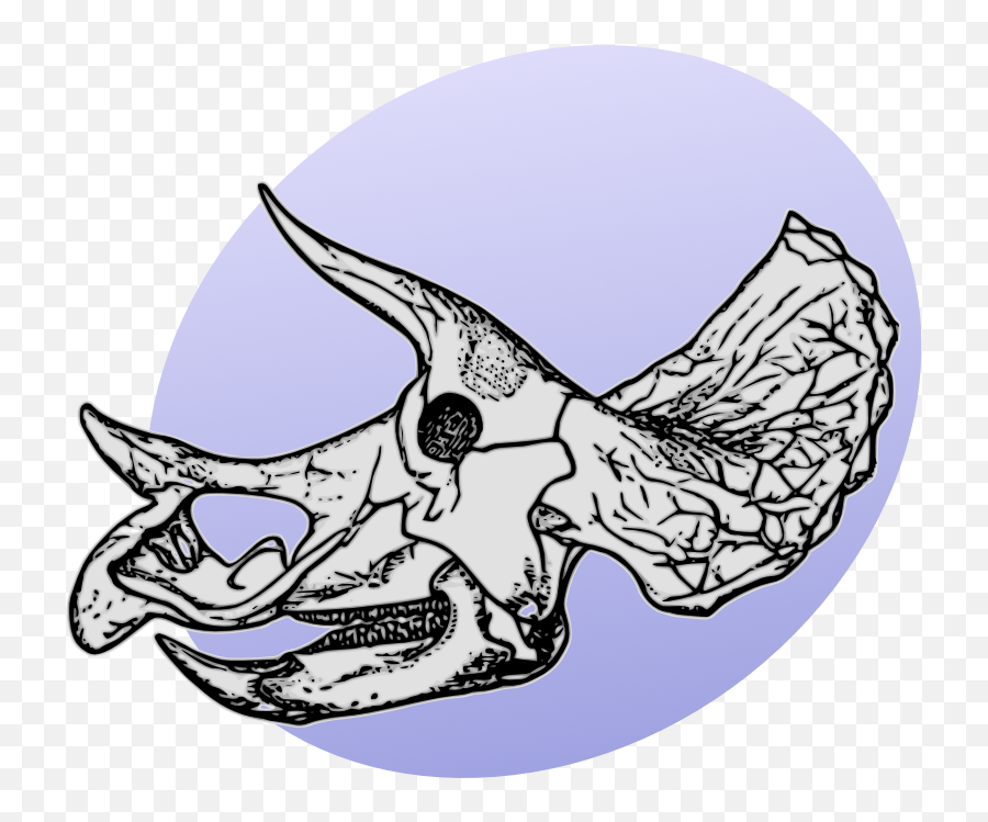 Ad Png And Jpg Exports Very Poor - Affinity On Desktop Triceratops Skull Drawing,Funny Pngs