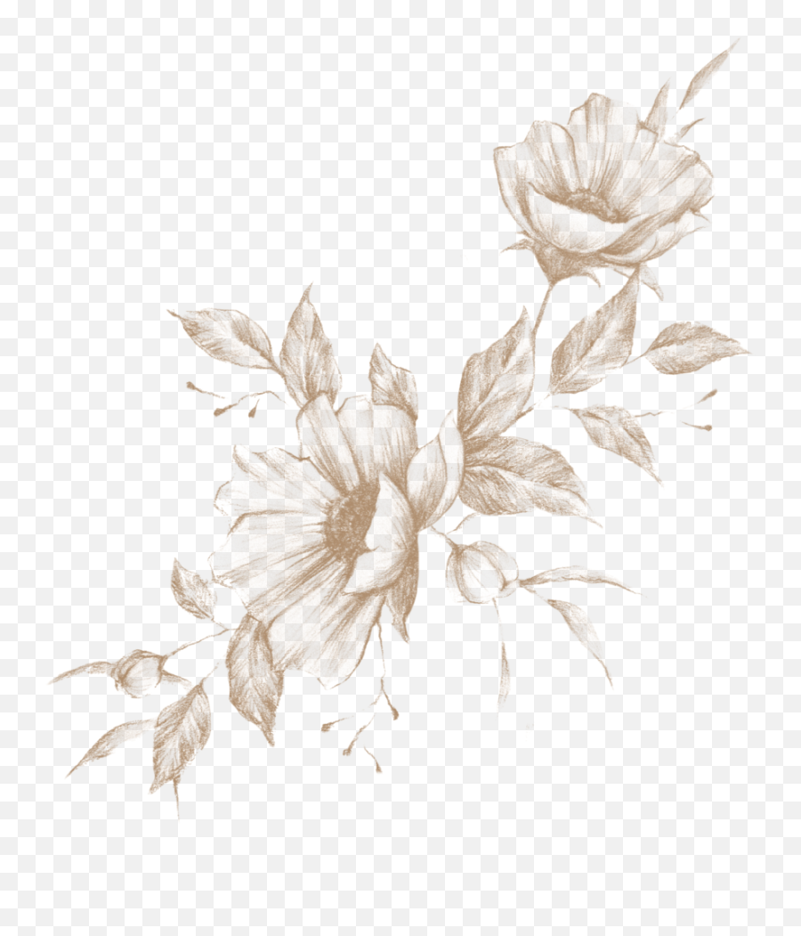 November 10th 2019 - Crenate Orchid Cactus Png,Florals Png
