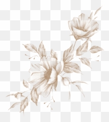 November 10th 2019 - Crenate Orchid Cactus Png,Florals Png