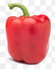 Dutch Fresh Originals - Bell Peppers from Valstar Red png