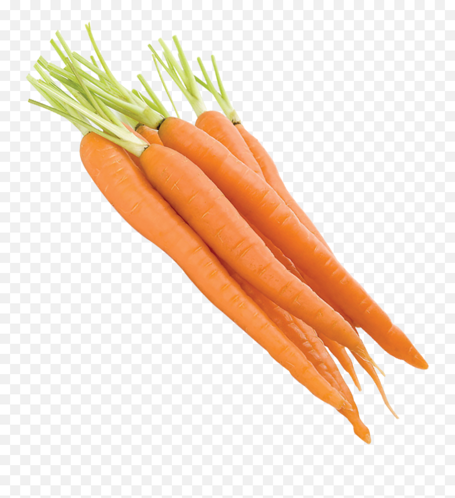 Baby Carrot Vegetable - Carrot Png Download 24802480 Zanahoria Png,Carrot Png