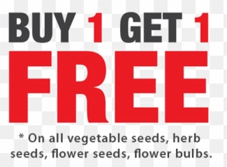 Buy 1 Get Free Png Background Image - Buy 1 Get 1 Png,Buy Png