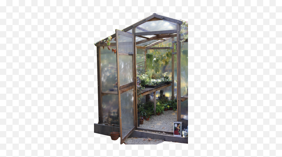Consulting Toads Potted Plants Png Greenhouse