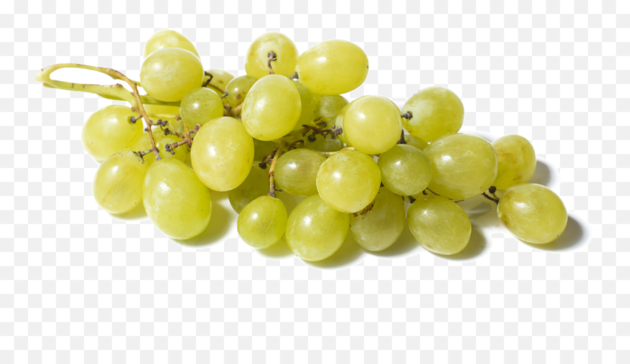 Grapes - Fruitspngtransparentimagescliparticonspngriver White Grapes Png,Grape Png
