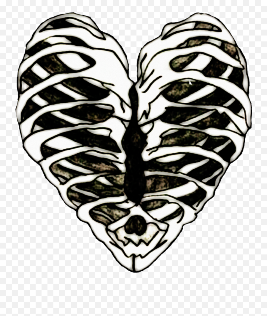 Ribs Ribcage Heart Bones Art Stickers - Ribcage Heart Png,Rib Cage Png