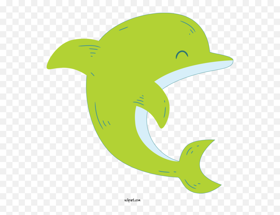 Animals Bottlenose Dolphin Fin - Cartoon Png,Dolphin Transparent