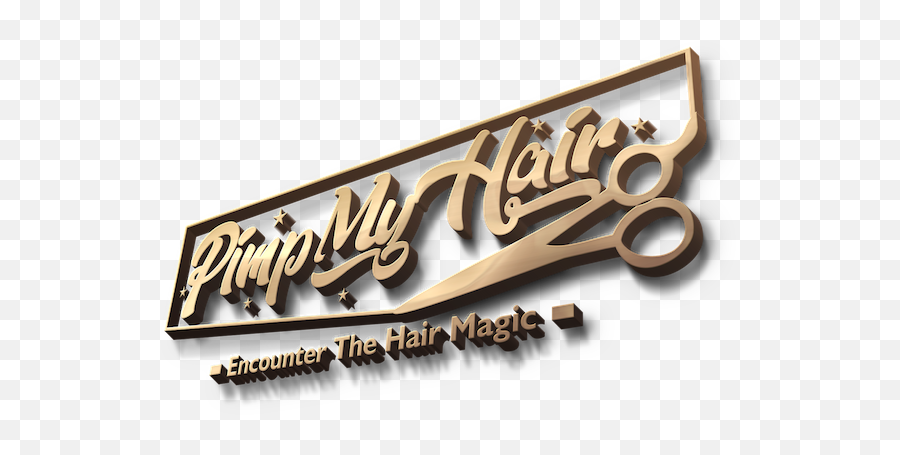 Hair Salon - Pimp My Hair Png,Hair Stylist Logo