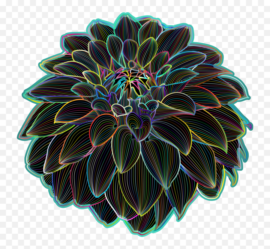 Chrysanthsplantflower Png Clipart - Royalty Free Svg Png Clip Art,Chrysanthemum Png