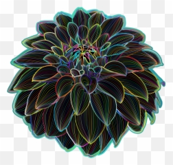 Chrysanthsplantflower Png Clipart - Royalty Free Svg Png Clip Art,Chrysanthemum Png