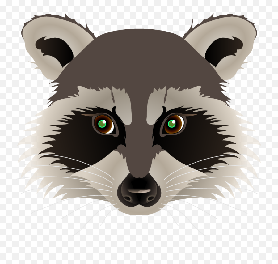 Raccoon Face Png 4 Image - Raccoon Clipart,Raccoon Transparent Background