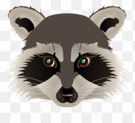Raccoon Face Png 4 Image - Clipart