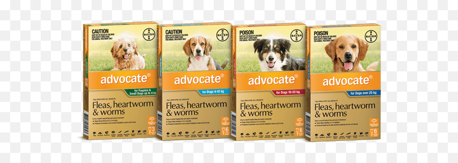 Advocate For Dogs Flea Heartworm U0026 Worm Treatment - Advocate Spot On For Dogs Png,Dogs Transparent
