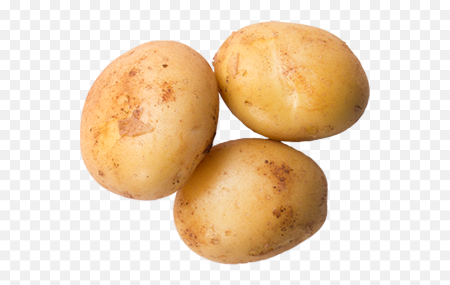 Download Potato - Yukon Gold Potato Full Size Png Image Transparent Background Potato Png,Potato Png Transparent