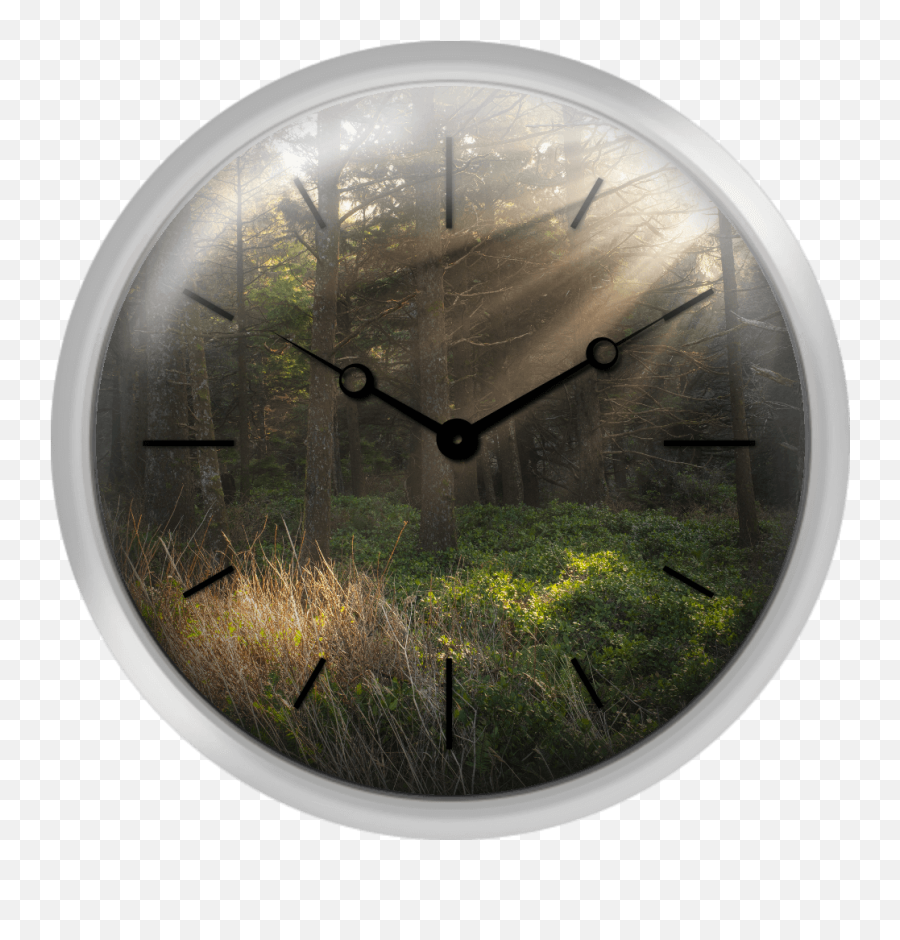 Xpress Clocks - Gallery Usa Oregon Tillamook County Grassland Png,Sunbeams Png