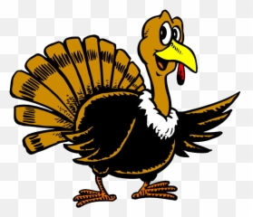 Download Hd Turkey Clipart Basketball - Thanksgiving Cartoon png