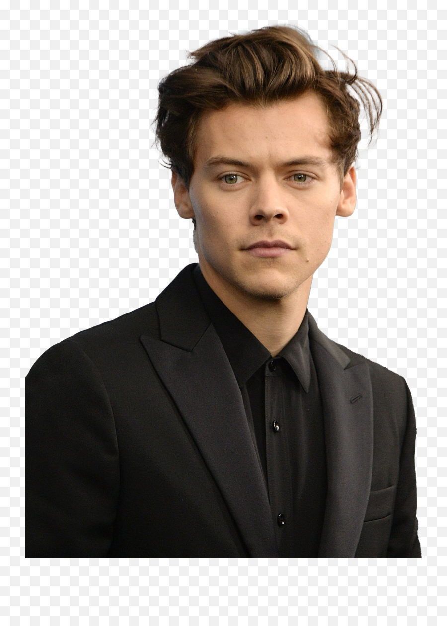 Singer Harry Styles Png Download Image - Harry Styles Losangeles Don T Worry Darling,Harry Styles Png