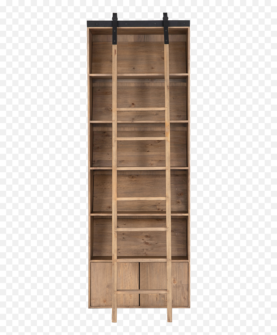 Kalli Bookshelf U0026 Ladder - Bookcase Png,Transparent Bookshelf