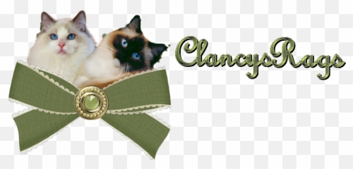 Ragdoll Kittens Rhode Island Ragdolls - Siamese Cat Png,Ragdoll Logos