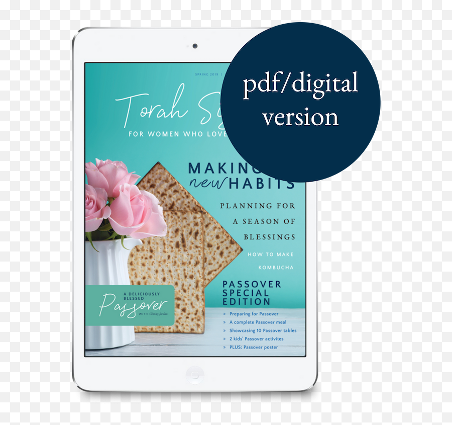 Spring 2019 Pdf Digital Issue Of Torah Sisters Magazine - Mastering Digital Slr Photography Png,Torah Png