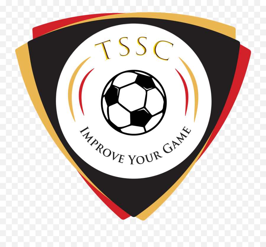 Browse Thousands Of Soccer Images For Design Inspiration - Futsal Ball Png,Icon Sports Club