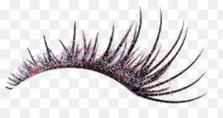 Eyelashes - Transparent Background png