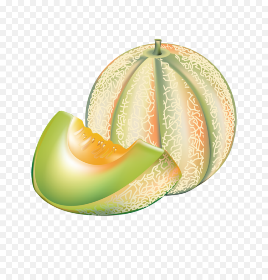 Vector Transparent Stock Png Files - Honey Dew Melon Clip Art,Cantaloupe Png