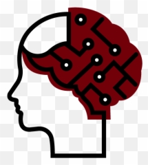 Master Of Accountancy - Darla Moore School Business Hair Design png