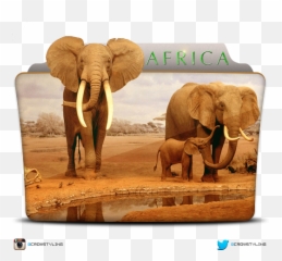 Folder Icons - By CrowStyling Natural History Museum Of Los Angeles County png