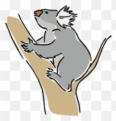 Koala Png
