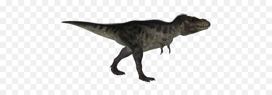 300 Free T Rex U0026 Dinosaur Images Carikan Gambar Png - rex Icon
