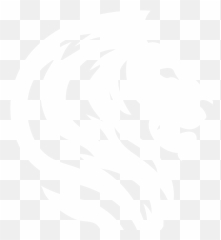 Home - SOLAR VISION Unique Leather png