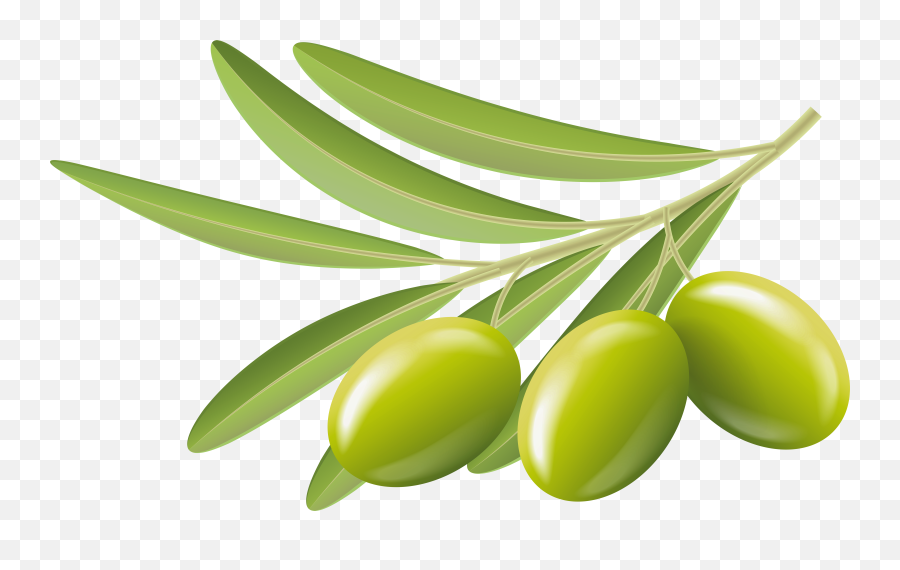 Hd Ultra Fascinating Wallpaper Olives - Olives Clipart Png,Tree Bark Png