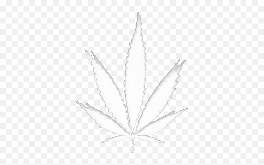 How Cannabis Brands Are Connecting To Customers - Pot Leaf Png,Animated Gif Clipart 