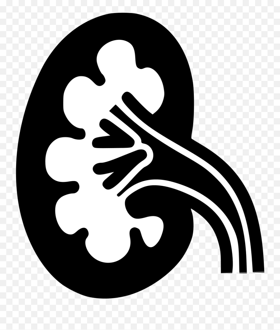 Urinary System - Simplemed Learning Medicine Simplified Png,Bladder Icon