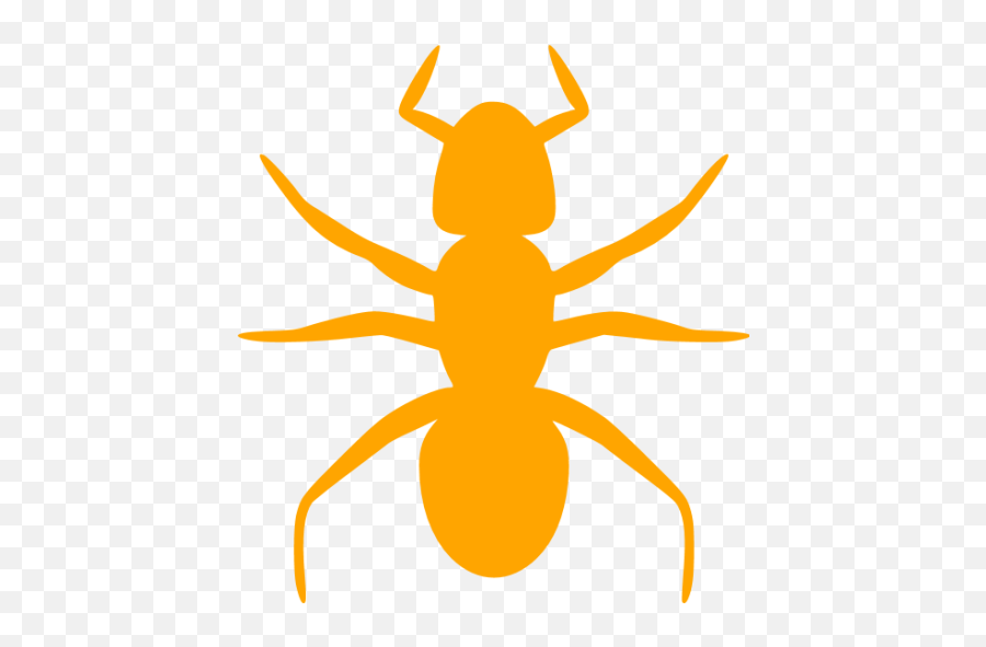 Orange Ant 3 Icon - Free Orange Insect Icons Png,Bugs Icon