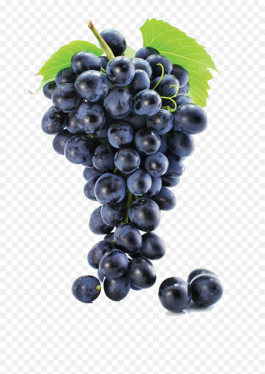 Grapes Png Image - Grape Png,Grapes Png